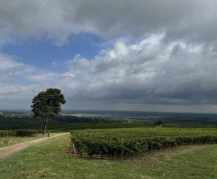 Le Tour du Chalonnais à pied ou à vélo