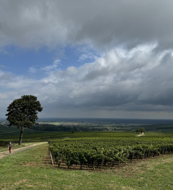 Grand Tour du Chalonnais