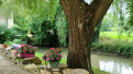 Crédits photo : Debailleul