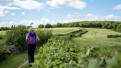 Crédits photo : DSL 71  Mollow