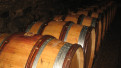 Crédits photo :  Domaine de Chamilly- Duréault Père et Fils 