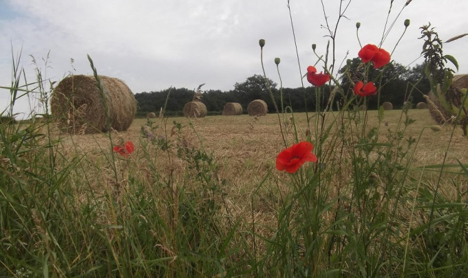 Crédits photo : Gîtes de France / MEUNIER Marie-Claire