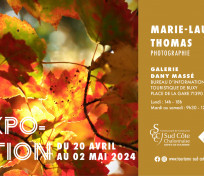 Exposition de Marie-Laure THOMAS