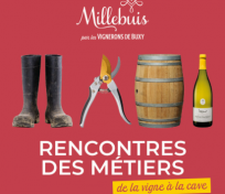Les Rencontres des métiers de la vigne à la cave
