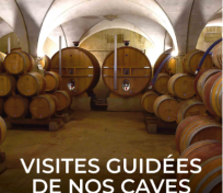 Visites guidées