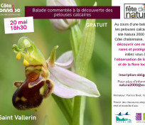 Balade commentée à la découverte des pelouses calcaires