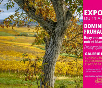 Exposition Dominique Frühauf - Buxy en couleurs, la ville en noir et blanc