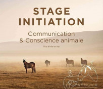 Initiation communication animale