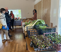 Marché producteurs et artisanat d'art