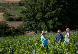 Balade des sens au Domaine de la Luolle