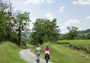Le Grand Tour du Chalonnais à vélo : Etape Cormatin à Chalon-sur-Saône