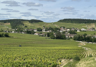 Le Grand Tour du Chalonnais à pied : Etape Chagny à Mercurey
