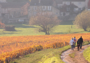 Le Grand Tour du Chalonnais à pied : Etape Mercurey à Givry