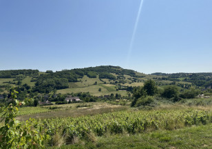 Le Grand Tour du Chalonnais à pied : Etape Givry à Buxy