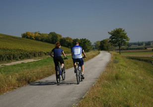 Boucle 4 : Balade en campagne