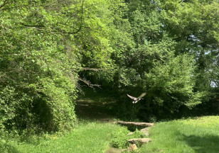 Aire de pique-nique de la source
