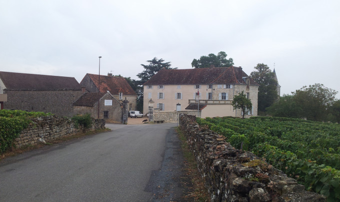 Crédits photo :  Domaine de Chamilly- Duréault Père et Fils 