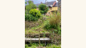 Crédits photo : FMP