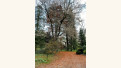 Crédits photo : XPM