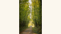 Crédits photo : Guillaume ROBERT-FAMY