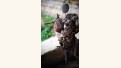 Crédits photo : cb