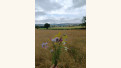 Crédits photo : Anna MILLOT