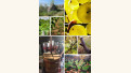 Crédits photo : GÉRALDINE LOUISE