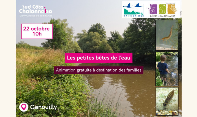 Crédits photo : Malaury/SCC