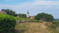 Balade Verte, ©DominiqueArnoux