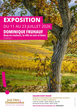 Affiche dominique fruhauf